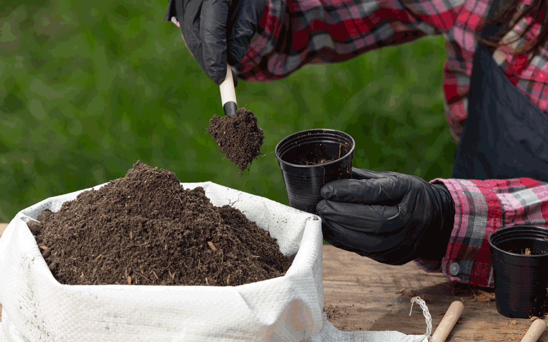 Biodechets utilisation Que deviennent vos déchets S3TEC