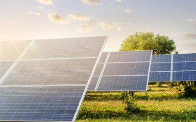 Décharge réhabilitée de Guignen