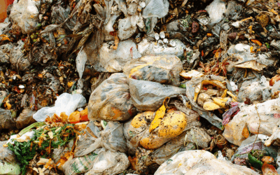 Plateforme de compostage de Guignen